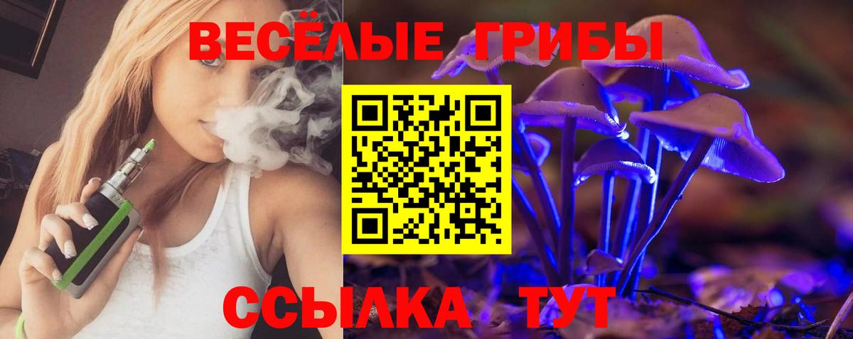 Якутск  Псилоцибиновые грибы прущие грибы  Вход с VPN 