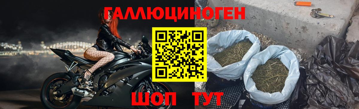 Псилоцибиновые грибы мухоморы Якутск