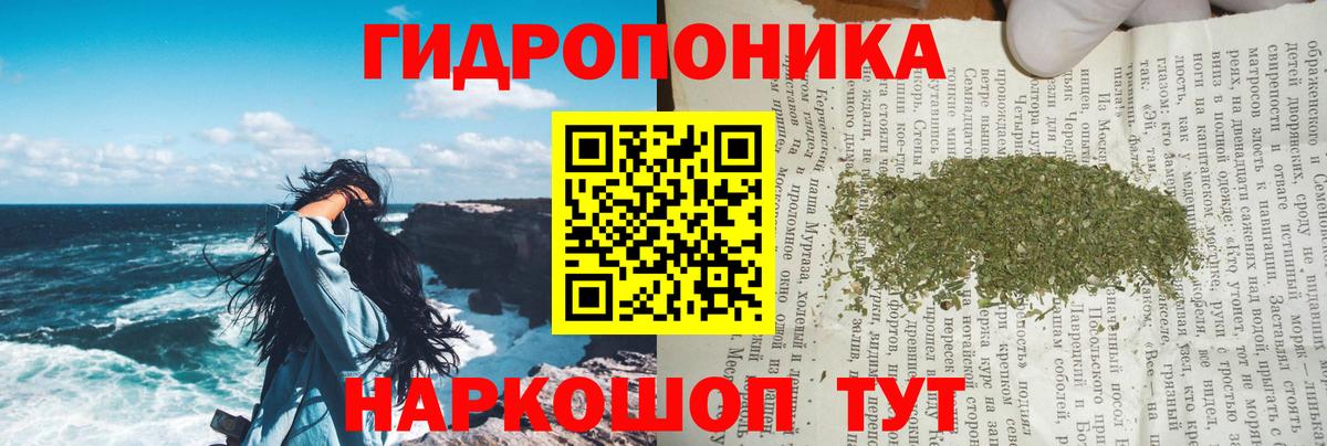 Бошки Шишки OG Kush  МАРИХУАНА ГИДРОПОН  Якутск  Вход с VPN 
